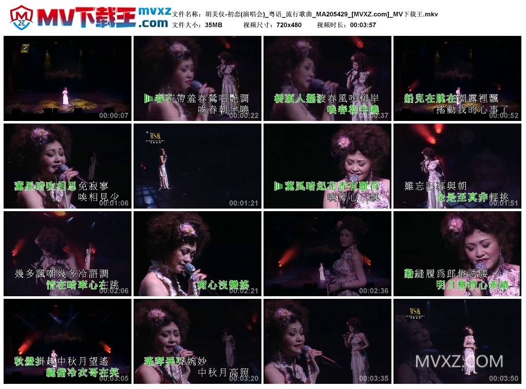 胡美仪-初恋(演唱会)_粤语_流行歌曲_MA205429